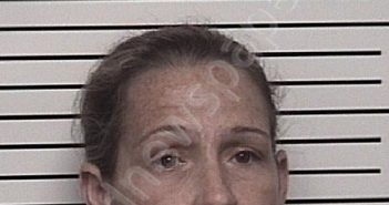 MULLINS, MELISSA ANN – BROWN | 2022-06-28 09:00:00 Iredell County, North Carolina Booking