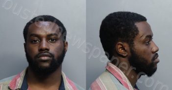 BASS, JONATHAN | 2022-06-28 19:20:00 Miami-Dade County, Florida Booking