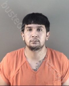 FLORES, MIGUEL ANTONIO JR | 2022-06-28 Wood County, Ohio Booking