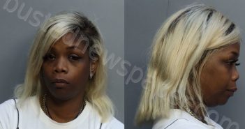 LOUIS, LINDA | 2022-06-28 16:48:00 Miami-Dade County, Florida Booking