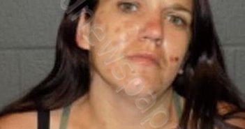 MCADAMS, ALICIA M | 2022-06-28 14:49:00 Delaware County, New York Booking