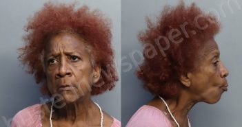 CABEZA, ILEANA | 2022-06-28 16:41:00 Miami-Dade County, Florida Booking