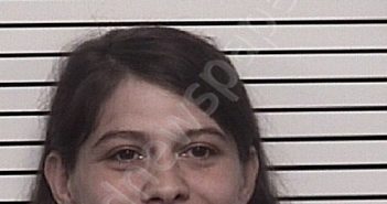 PERKINS, COURTNEY REANN | 2022-06-28 10:25:00 Iredell County, North Carolina Booking