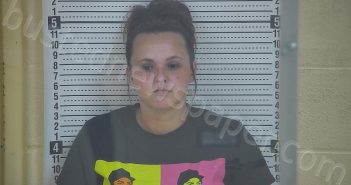 GILLMER, LAUREL | 2022-06-29 14:16:00 Taylor County, Kentucky Booking