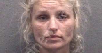 NEWVILLE, CHEVELLE NULL | 2022-06-29 Muskegon County, Michigan Booking