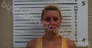 JOHNSON, TARA ASHLEY | 2022-06-29 17:14:00 Cherokee County, North Carolina Booking
