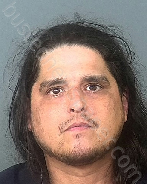 COLON, ANGEL L #, Manatee County, Florida - 2022-06-29