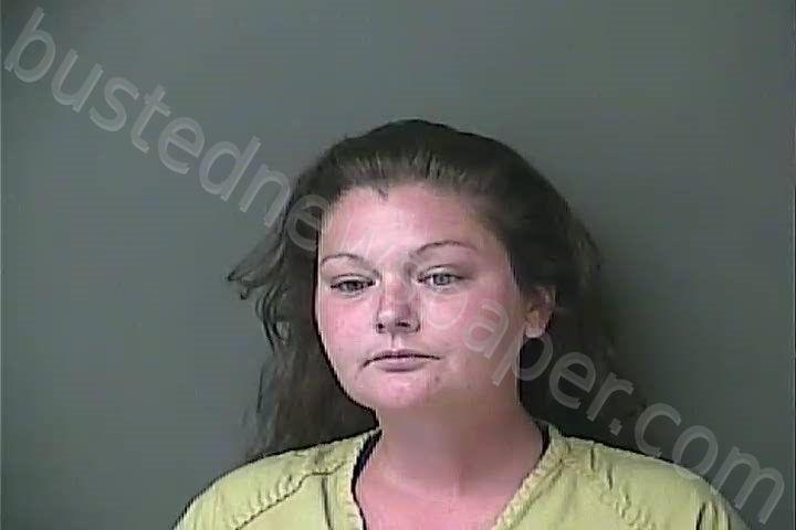 NELSON, DANIELLE MARIE #, Howard County, Indiana - 2022-06-29 23:11:00