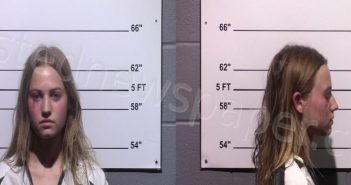 GERKEN, JOANNA ELISE | 2022-06-29 Gillespie County, Texas Booking