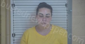 HOUSE, KANDY | 2022-06-29 16:46:00 Taylor County, Kentucky Booking