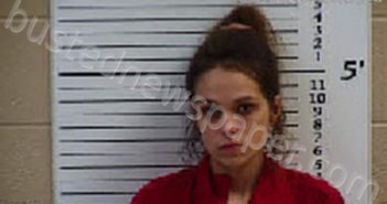 CHEEKS, VIVIANE SHAE | 2022-06-30 20:24:00 Cherokee County, North Carolina Booking