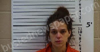 CHEEKS, VIVIANE SHAE | 2022-06-30 08:24:00 Cherokee County, North Carolina Booking