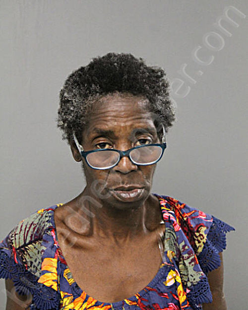 DARLENE SMITH #, Chicago, Illinois, Cook County, Illinois - 2022-06-30