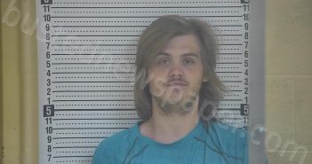 WILSON, JUSTIN TYLER | 2022-07-01 10:23:00 Taylor County, Kentucky Booking