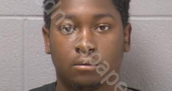 DEJAREAUX, JAMYRSEM RAYSHAUN | 2022-07-01 20:25:00 Will County, Illinois Booking