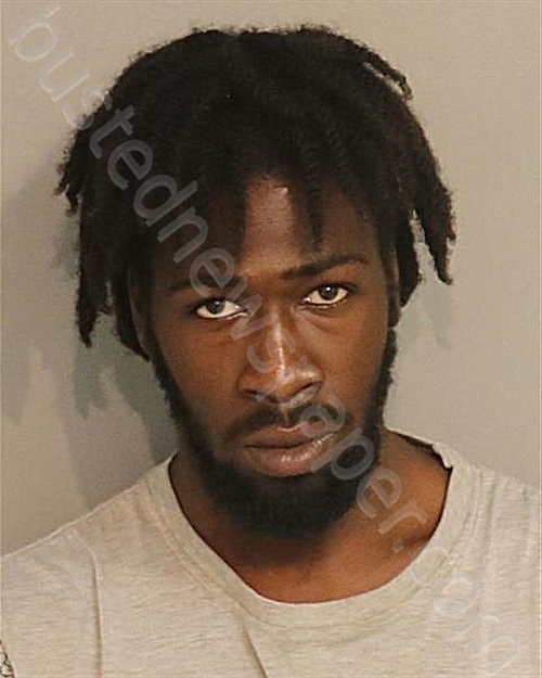 MEME, ROLEX #, Osceola County, Florida - 2022-07-02