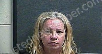 WEBB, LISA RENEE | 2022-07-04 11:25:00 Boone County, Kentucky Booking