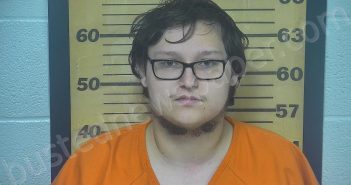 DAUGHTREY, CAMERON JAMES | 2022-07-04 05:46:00 Ottawa County, Ohio Booking