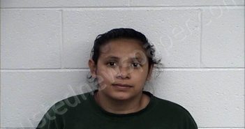 SALES-NAJARRO, FLOR MARIA | 2022-07-05 Chase County, Kansas Booking