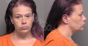 KAMM,AMY LYNN | 2022-07-05 21:15:00 Saline County, Kansas Booking