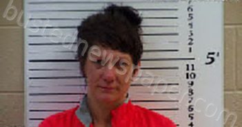 WHITENER, COURTNEY MARLANA | 2022-07-06 04:55:00 Cherokee County, North Carolina Booking