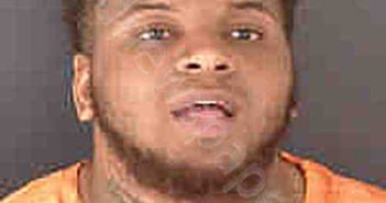 WILLIAMS, LADARION | 2022-07-06 Sarasota County, Florida Booking