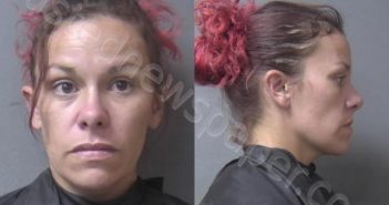 <B>LEHMAN</B>, <B>FRANCINA</B> <B>JO</B> #, Madison County, Indiana - 2022-07-07 07:57:00