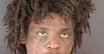 DAVIS, ELIJAH | 2022-07-07 Sarasota County, Florida Booking