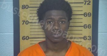 HENDERSON, KESHAWN D | 2022-07-12 01:27:00 Ottawa County, Ohio Booking