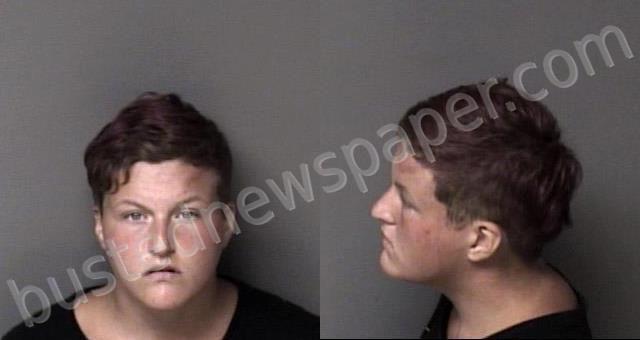 JACKSON, ASHLEY NICOLE #, Gaston County, North Carolina - 2022-07-12 15:11:00