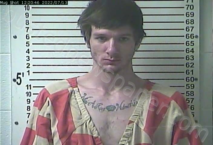 NELSON, CAMERON STEPHEN #, Hardin County, Kentucky - 2022-07-13 13:00:00