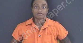 PERKINS, TENESHIA MEKELL | 2022-07-14 13:46:00 Roanoke County, Virginia Booking