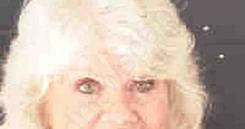 DYKHOUSE, LYNETTE JEAN | 2022-07-14 Sarasota County, Florida Booking