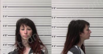 RITTIMANN, MEGAN RENAE | 2022-07-15 Kerr County, Texas Booking