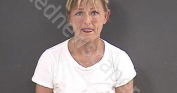 WILLIAMSON, DEBRA LAVERNE | 2022-07-15 15:37:00 Roanoke County, Virginia Booking