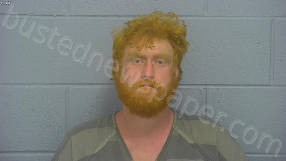 WALKER, ALEX DANIEL #, Greene County, Missouri - 2022-07-15 08:33:00