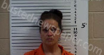 STINCHCOMB, CRISTIN ELISE | 2022-07-15 02:14:00 Cherokee County, North Carolina Booking