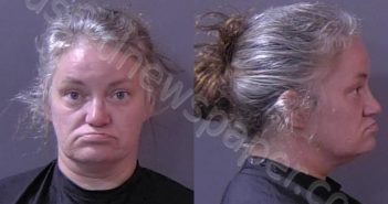 <B>ANDREWS</B>, <B>MELISSA</B> <B>DIANA</B> #, Hamilton County, Indiana - 2022-07-16 01:46:00