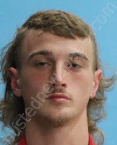 FARABEE, GARY DEAN #, Desoto County, Florida - 2022-07-17 23:09:00