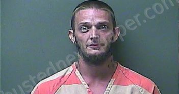 PAYNE, ROBERT A | 2022-07-18 14:50:00 Laporte County, Indiana, La Porte County, Indiana Booking