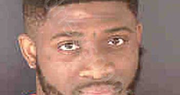 WILLIAMS, JERMAINE FRANKLIN JR | 2022-07-19 Sarasota County, Florida Booking