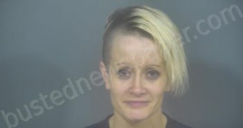 <B>DAVIS</B>, <B>ASHLEY</B> <B>MICHEL</B> #, St. Joseph County, Indiana - 2022-07-20 20:37:00