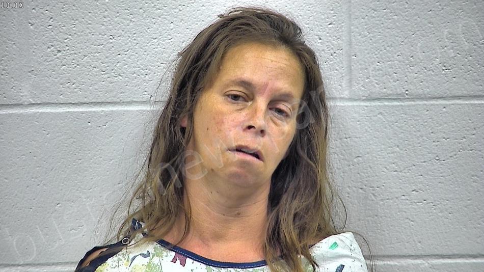 BREWER, CARRIE ANN #, Kenton County, Kentucky - 2022-07-21 10:06:00