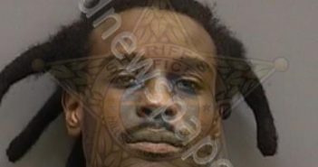 <B>SANDERS</B>,<B>JAMARCUS</B> #, Hillsborough County, Florida - 2022-07-21 13:48:00