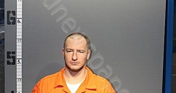 BELL, BRANDON O | 2022-07-21 15:07:00 Western Tidewater, Virginia Booking