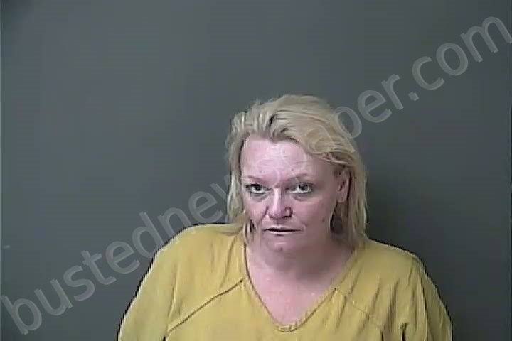 DEWITT, GINGER LOUSIE #, Howard County, Indiana - 2022-07-24 03:43:00