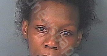 WILSON, RENEE NAOMI | 2022-07-27 11:43:00 Hernando County, Florida Booking