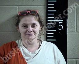 SAMANTHA WHEELER #, Chester County, Tennessee - 2022-07-27 22:57:00