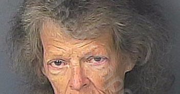 WELLS, CHERYL ANN | 2022-07-27 05:47:00 Hernando County, Florida Booking