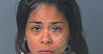 CHI, JOYCE | 2022-07-27 19:16:00 Hernando County, Florida Booking